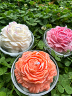 Wild Flower (set of 4)