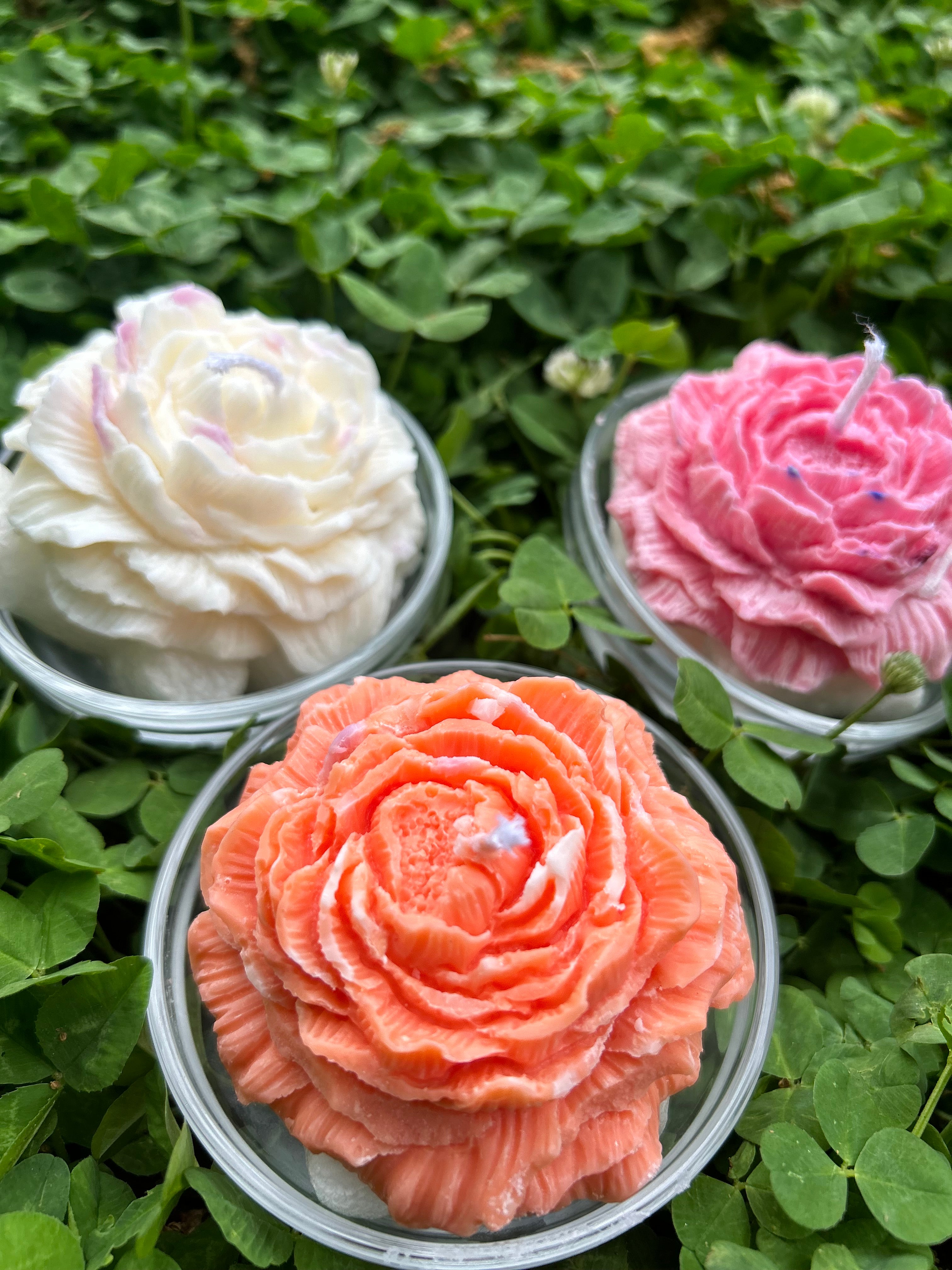 Wild Flower (set of 4)