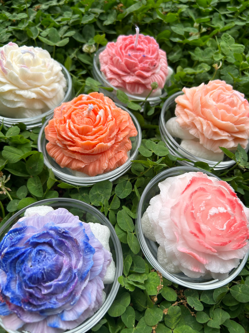 Wild Flower (set of 4)