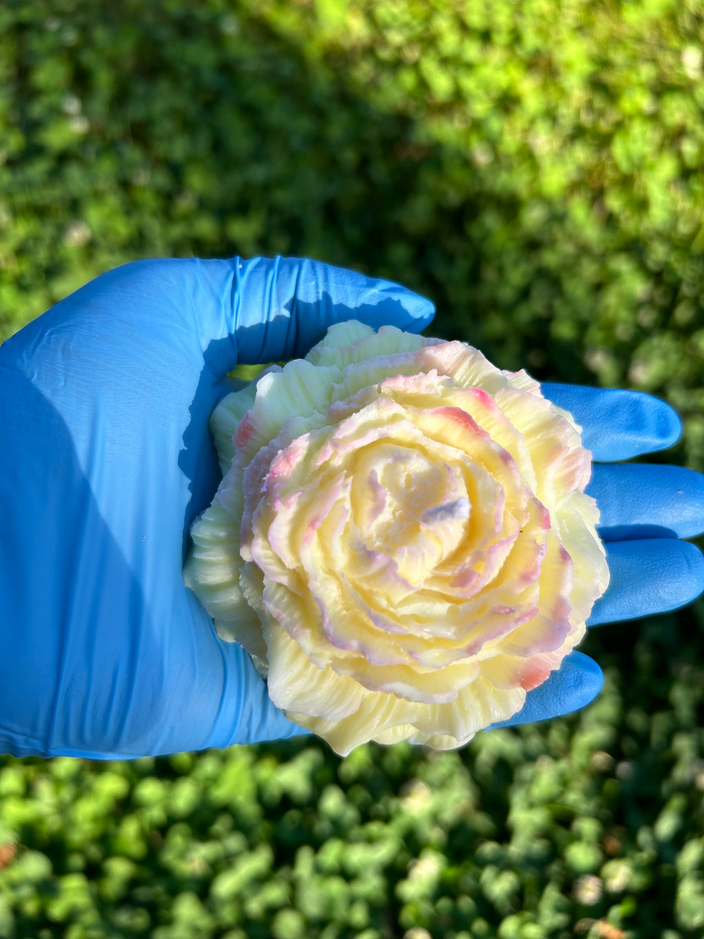 Wild Flower (set of 4)